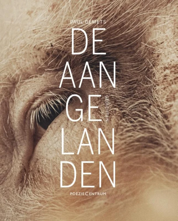 De aangelanden – Paul Demets – boek cover