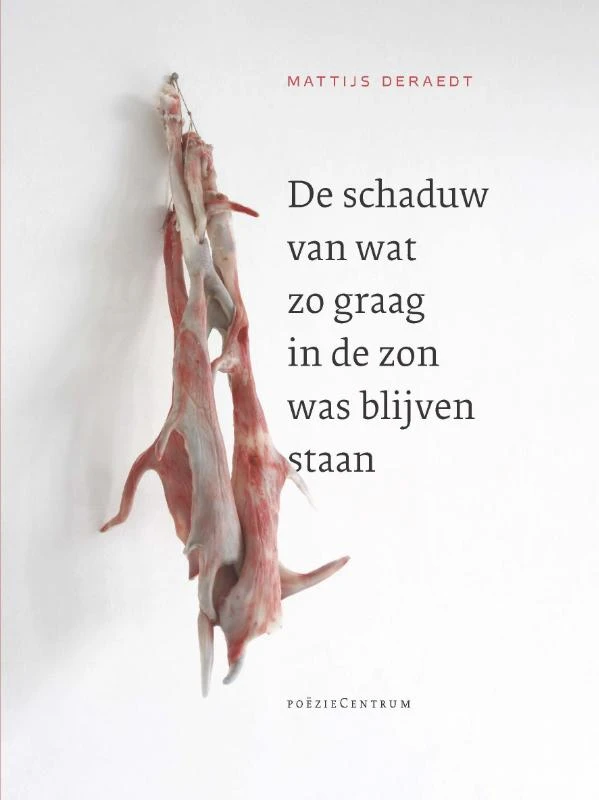 De schaduw van wat zo graag in de zon was blijven staan. – Mattijs Deraedt – boek cover