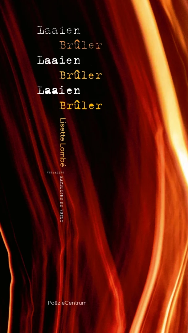 Laaien Laaien Laaien / Brûler Brûler Brûler – Lisette Lombé – boek cover