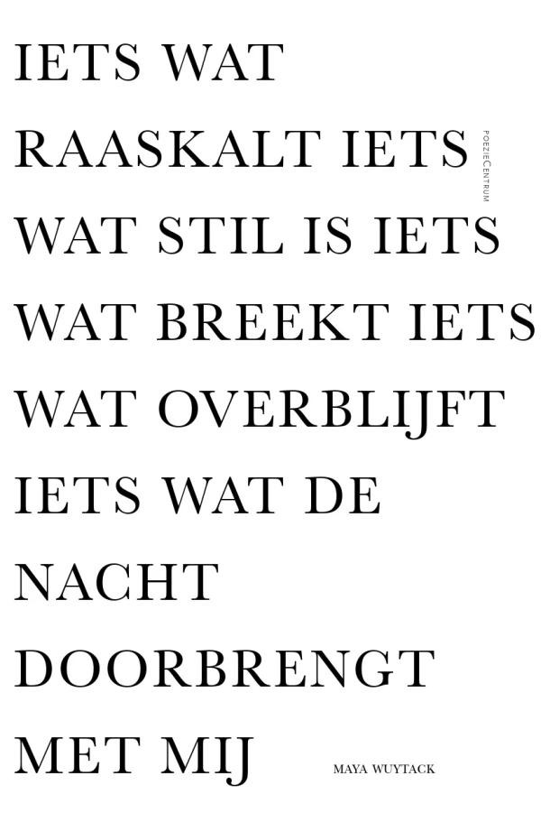 Iets wat raaskalt iets wat stil is iets wat breekt iets wat overblijft iets wat de nacht doorbrengt met mij – Maya Wuytack – boek cover
