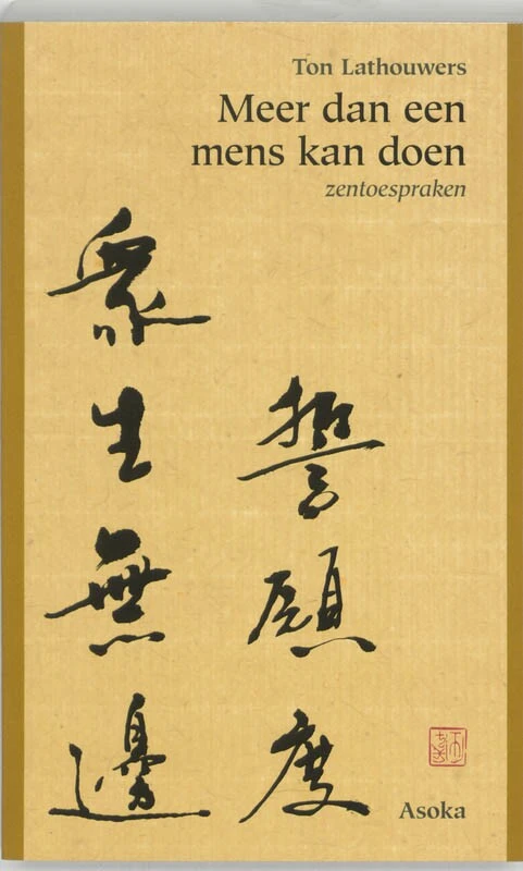 Meer dan een mens kan doen – T. Lathouwers – boek cover
