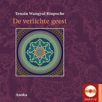 De stralende geest – Tenzin Wangyal Rinpoche – boek cover