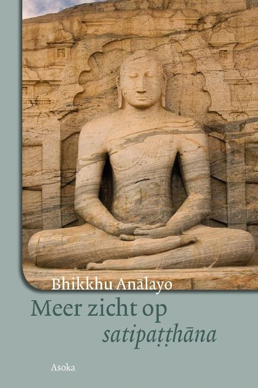 Meer zicht op satipatthana – Bhikkhu Analayo – boek cover