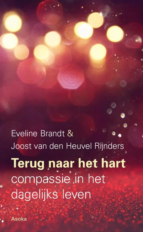 Terug naar het hart – Eveline Brandt – boek cover