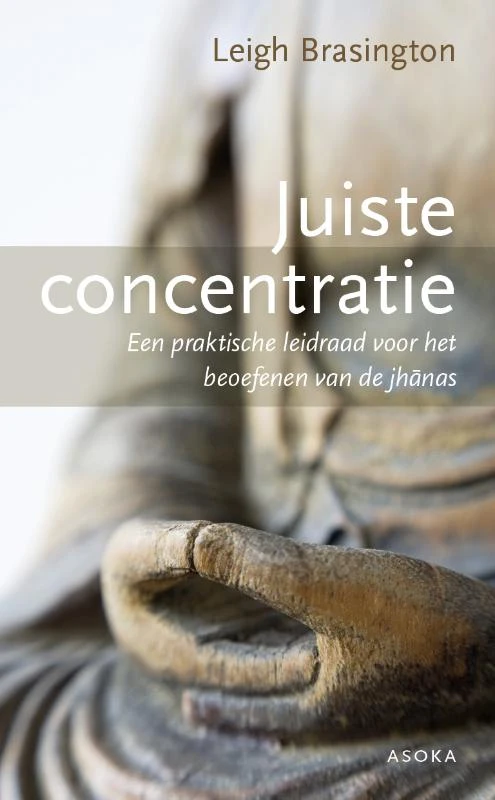 Juiste concentratie – Leigh Brasington – boek cover