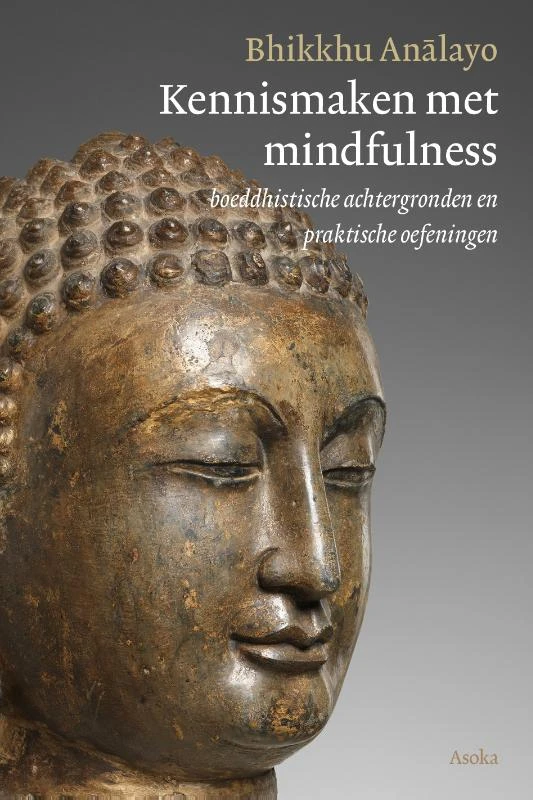 Kennismaken met mindfulness – Bhikkhu Analayo – boek cover