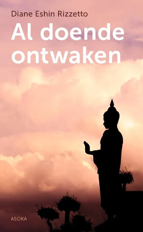 Al doende ontwaken – Diane Eshin Rizzetto – boek cover