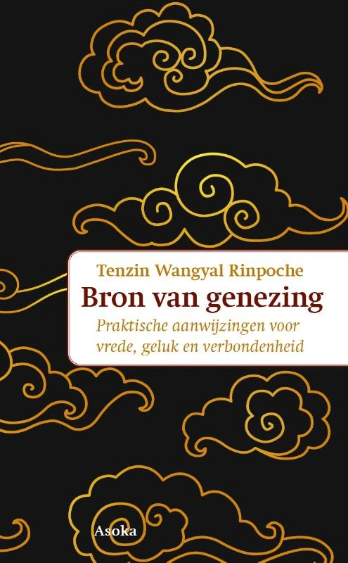 De ware bron van heling – Tenzin Wangyal Rinpoche – boek cover
