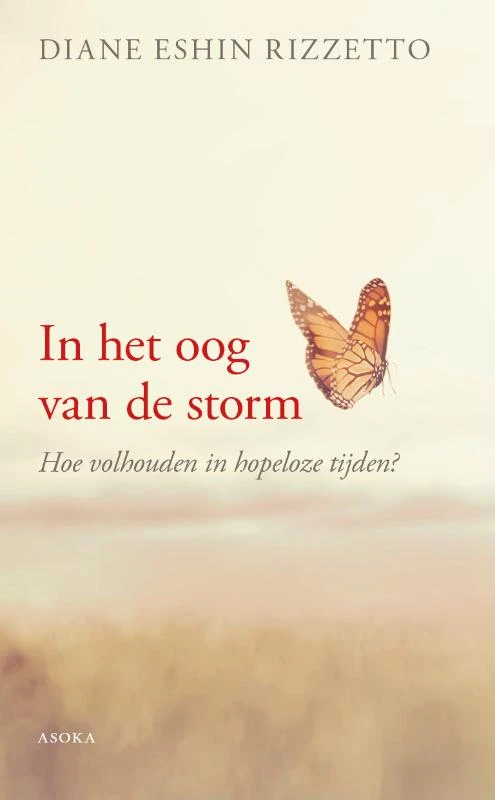 Stilte in de storm – Diane Rizzetto – boek cover