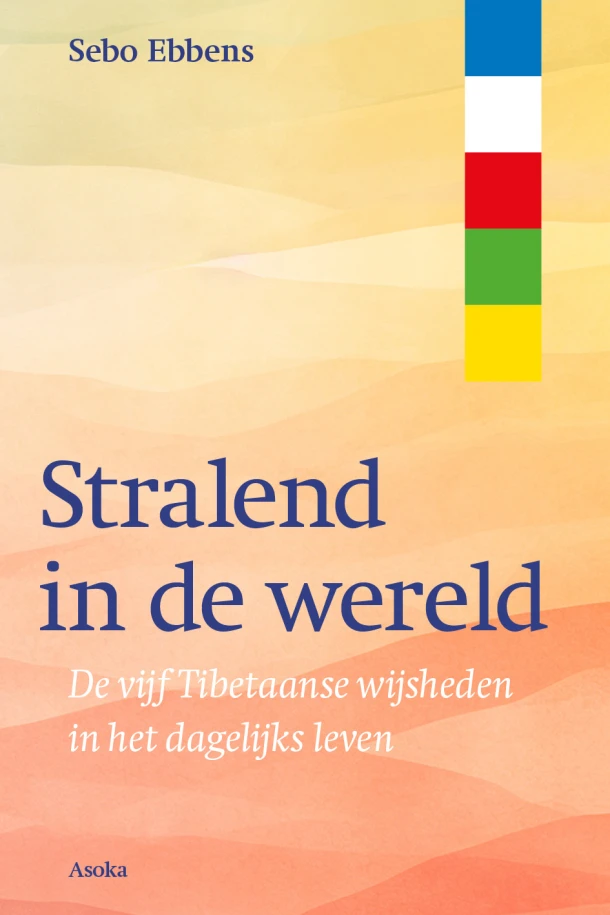 Stralend in de wereld – Sebo Ebbens – boek cover