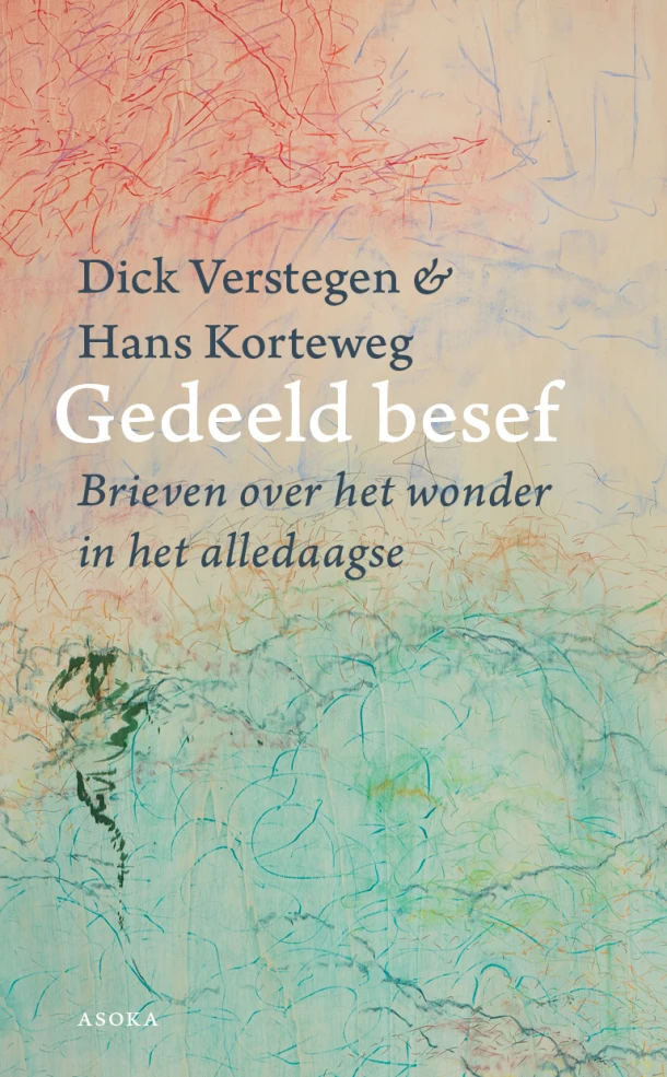 Gedeeld besef – Dick Verstegen – boek cover