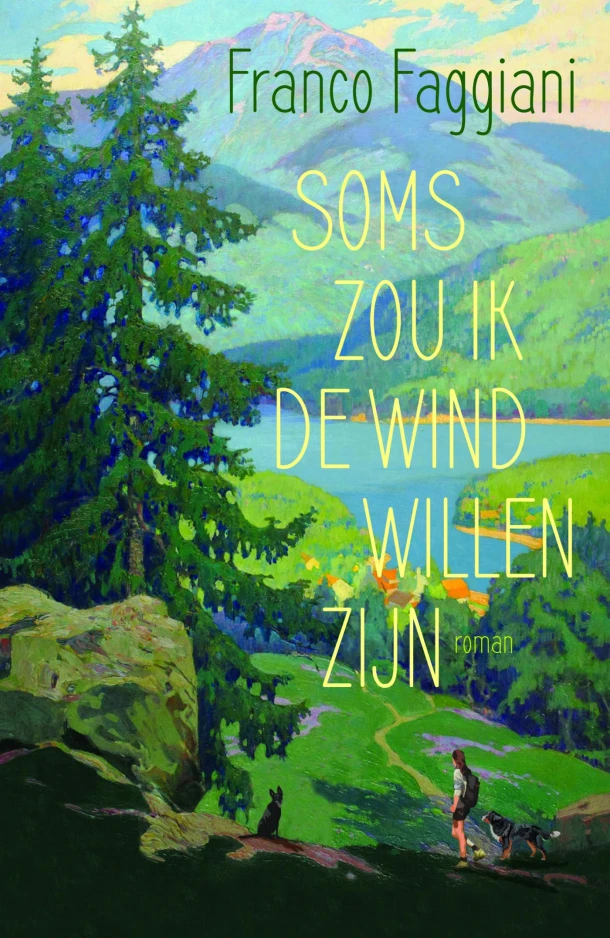 Soms zou ik de wind willen zijn – Franco Faggiani – boek cover