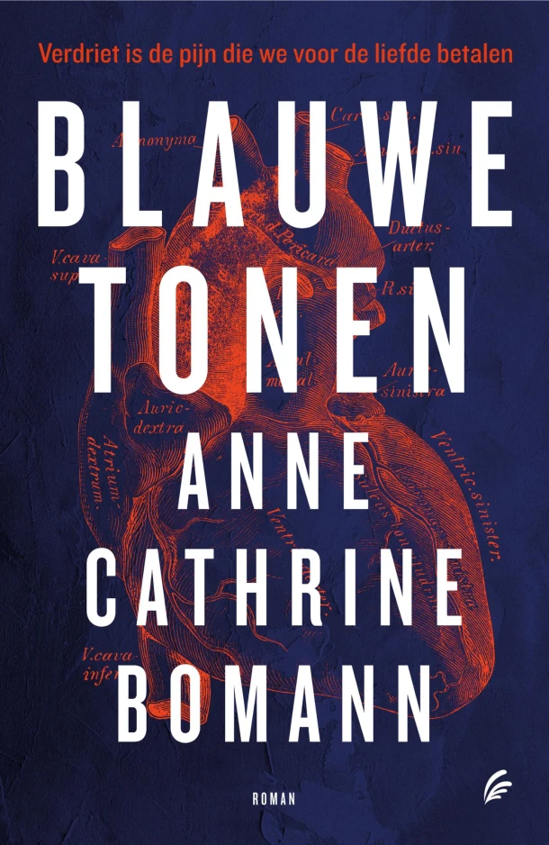 Blauwe tonen – Anne Cathrine Bomann – boek cover