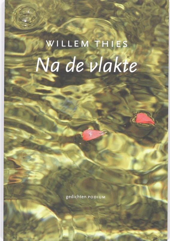 Na de vlakte – W. Thies – boek cover