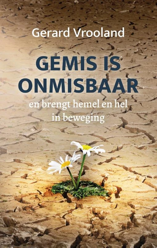 Gemis is onmisbaar – Gerard Vrooland – boek cover