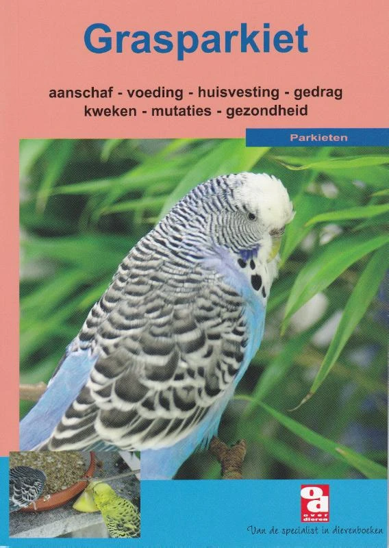 Grasparkieten