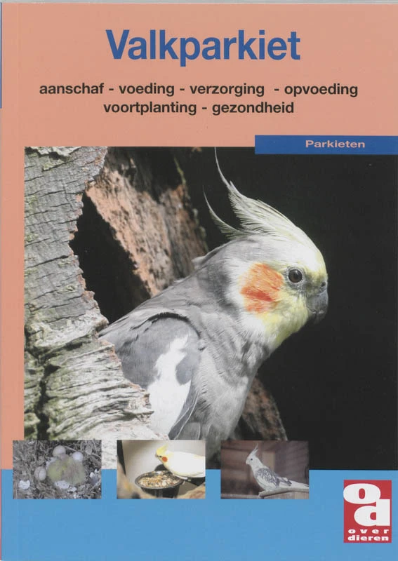 De Valkparkiet – A. van Kooten – boek cover