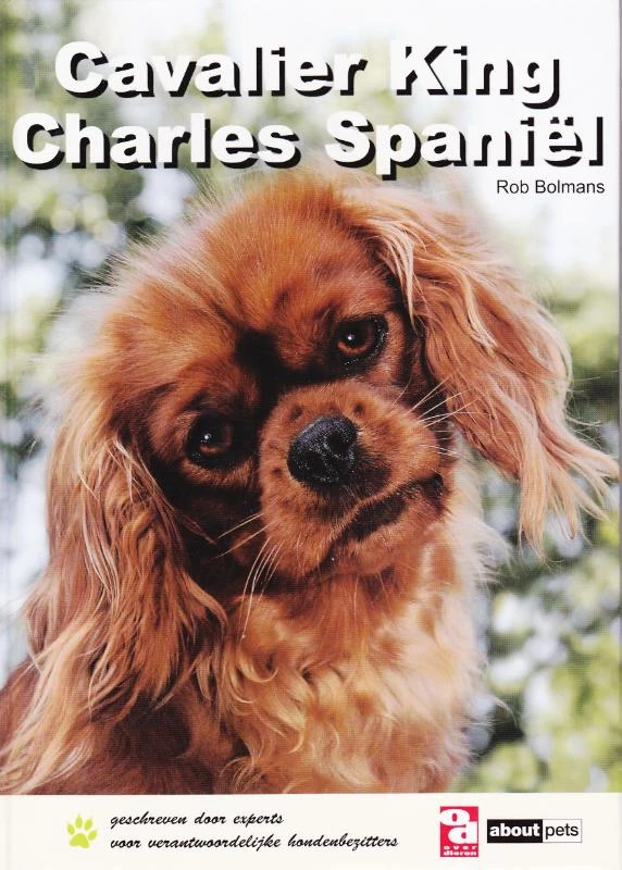 Cavalier King Charles spaniël – R. Bolmans – boek cover