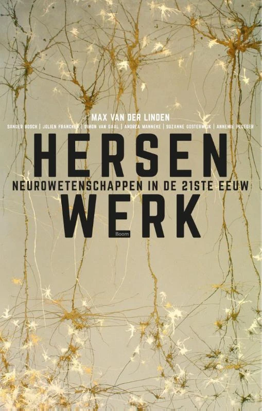 Hersenwerk – Max van der Linden – boek cover
