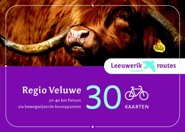 Regio Veluwe – boek cover
