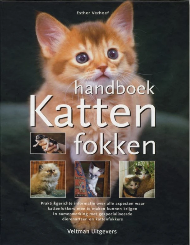 Handboek katten fokken – Esther Verhoef – boek cover
