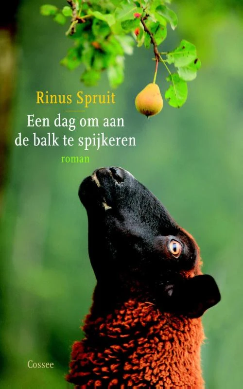 Een dag om aan de balk te spijkeren – Rinus Spruit – boek cover