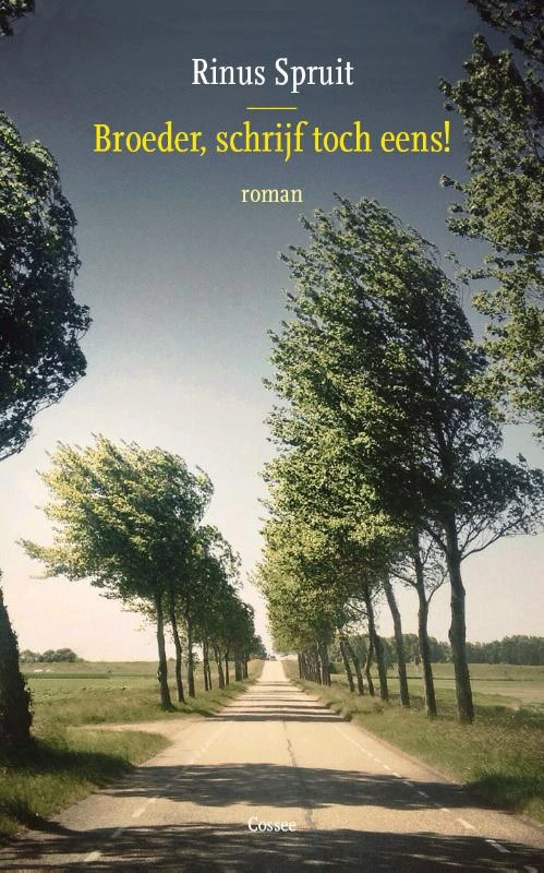 Broeder, schrijf toch eens – Rinus Spruit – boek cover
