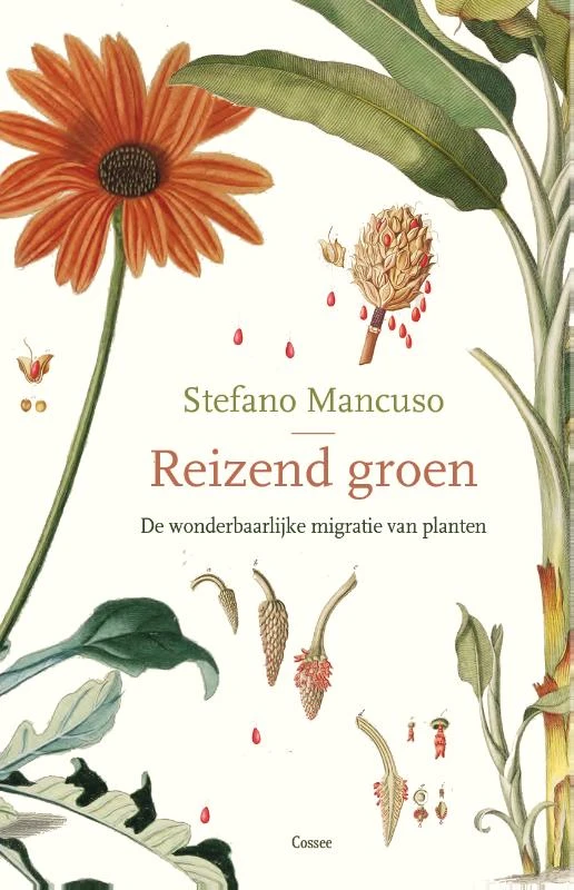 Reizend groen – Stefano Mancuso – boek cover
