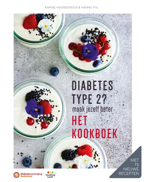 Diabetes type 2? Maak jezelf beter – Karine Hoenderdos – boek cover