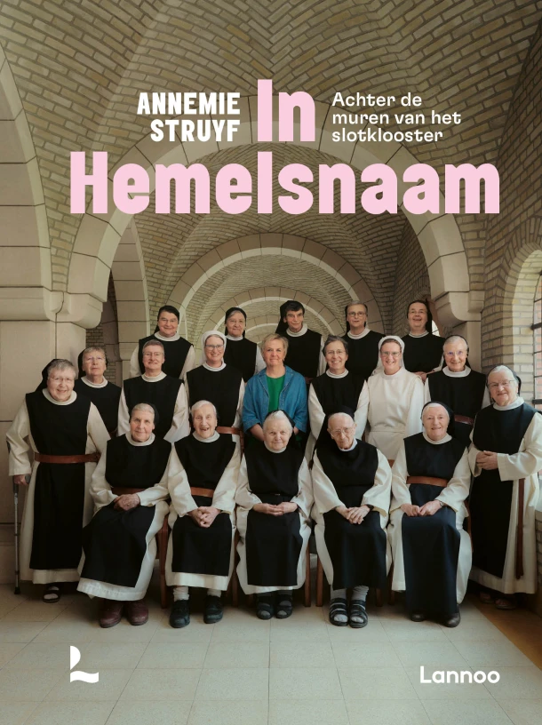In hemelsnaam – Annemie Struyf – boek cover