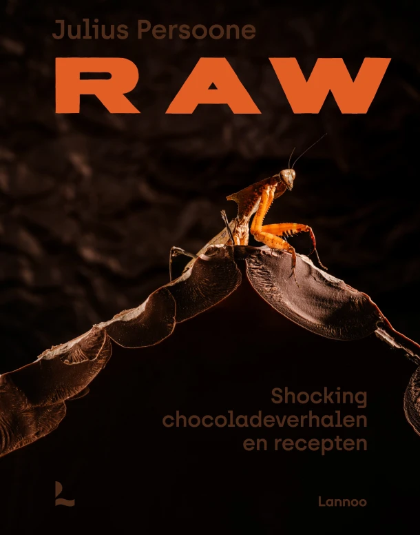 Raw – Julius Persoone – boek cover