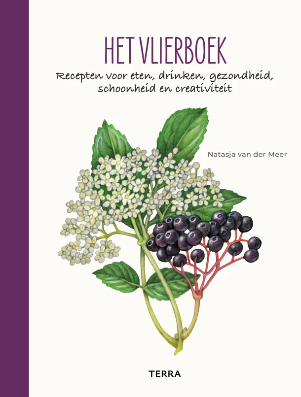 Het vlierboek – Natasja van der Meer – boek cover