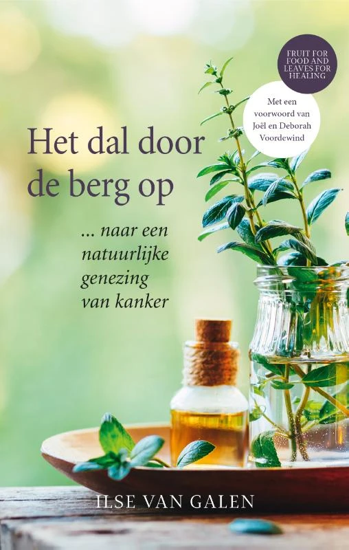 Het dal door de berg op – Ilse van Galen – boek cover
