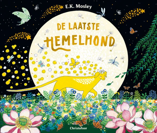 De heer der elementen – E.K. Mosley – boek cover