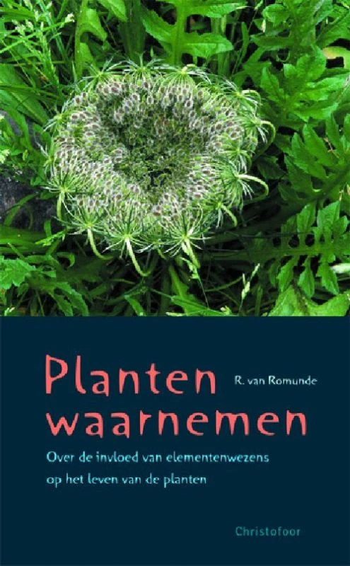 Planten waarnemen – R. van Romunde – boek cover