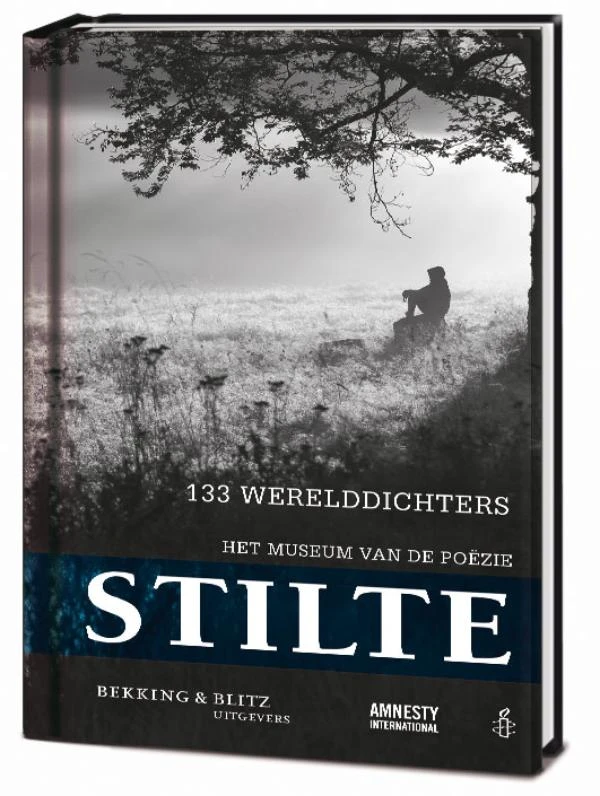 Stilte – Daan Bronkhorst – boek cover