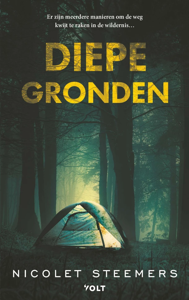 Diepe gronden – Nicolet Steemers – boek cover