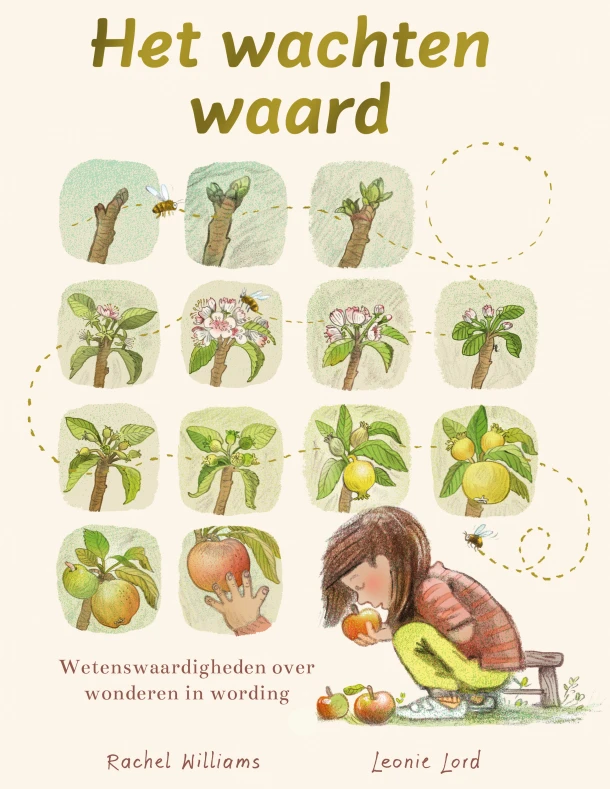 Het wachten waard – Rachel Williams – boek cover