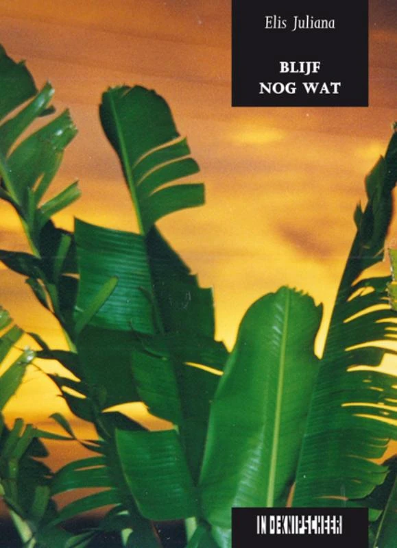 Blijf nog wat – Elis Juliana – boek cover