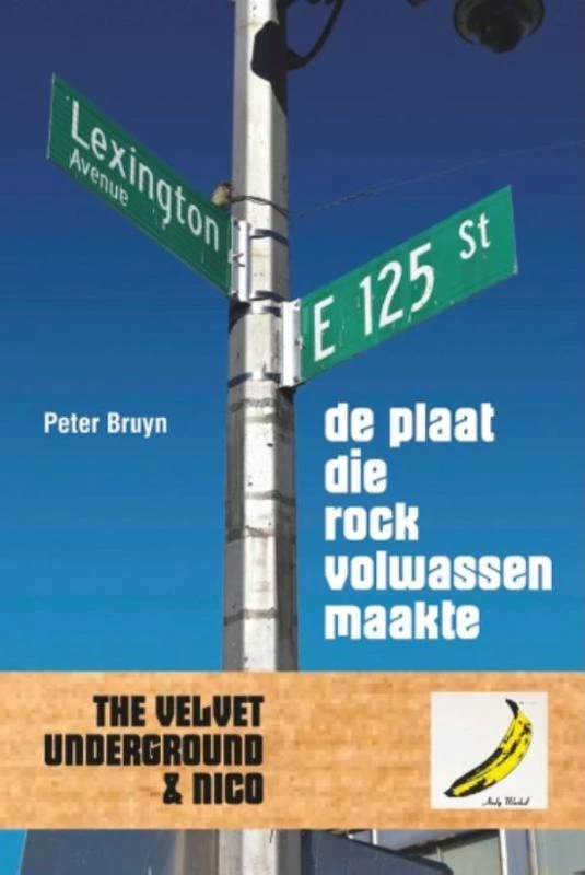 De plaat die rock volwassen maakte – Peter Bruyn – boek cover