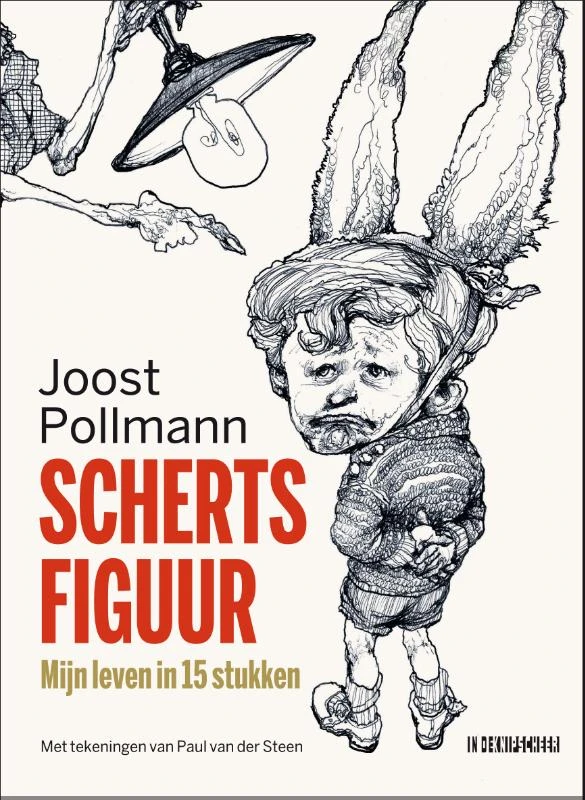 Schertsfiguur – Joost Pollmann – boek cover