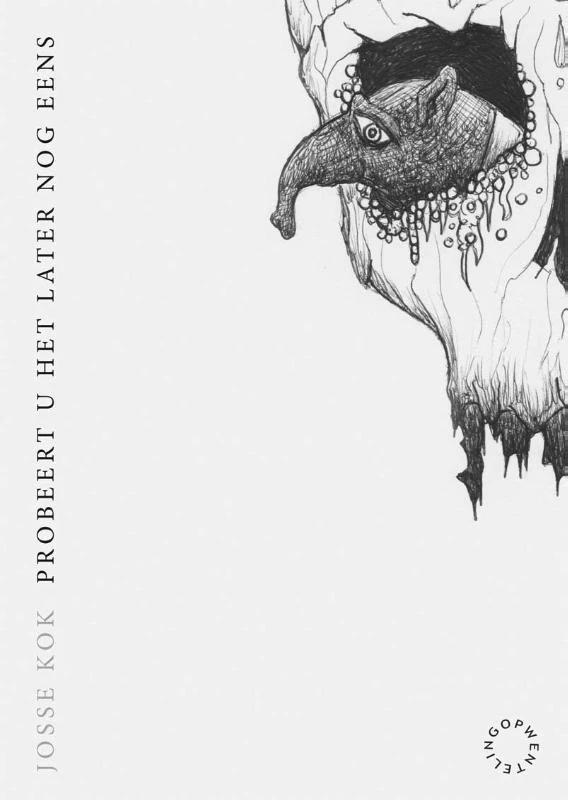 Probeert u het later nog eens – Josse Kok – boek cover