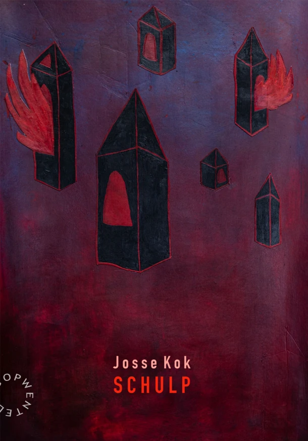 Schulp – Josse Kok – boek cover
