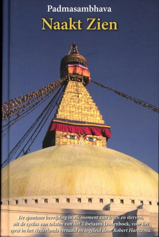 Naakt zien – Padmasambhava – boek cover