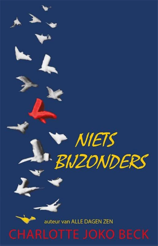 Niets bijzonders – Joko Beck – boek cover
