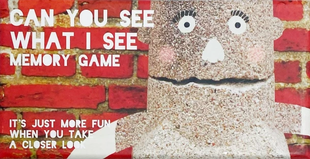 Can you see what I see memory game – Tineke Meirink – boek cover