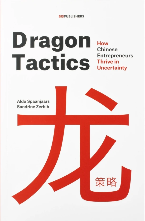 Dragon Tactics – Aldo Spaanjaars – boek cover