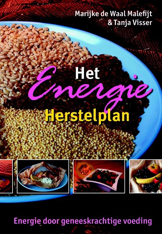 Het Energie Herstelplan – M. de Waal – boek cover