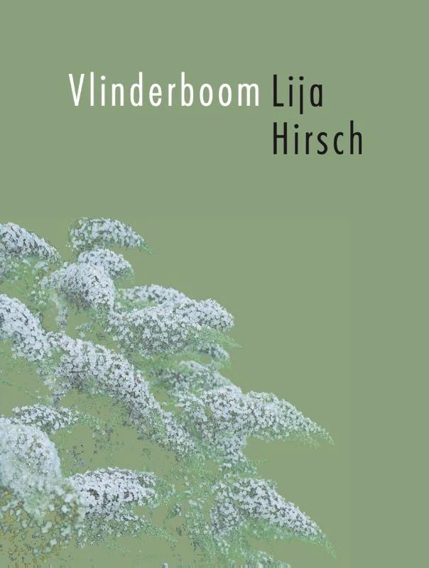 Vlinderboom – Lija Hirsch – boek cover