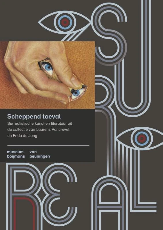 Scheppend toeval – Saskia van Kampen – boek cover
